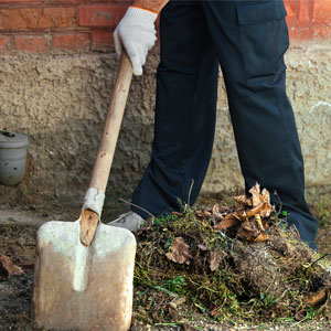 Residential Junk removal Hollywood collects yard waste.